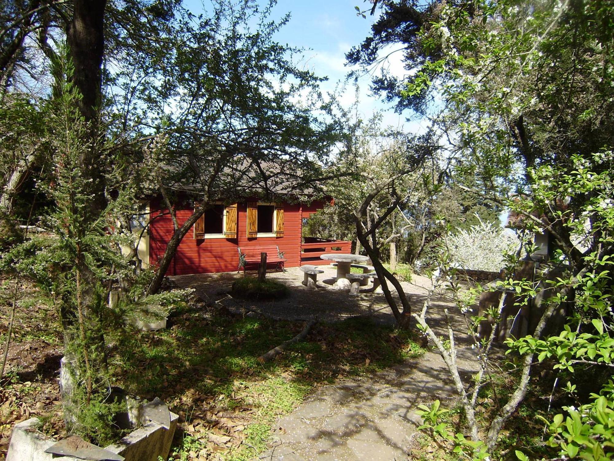 Casa Rural La Gustoza Sauzal Exterior photo