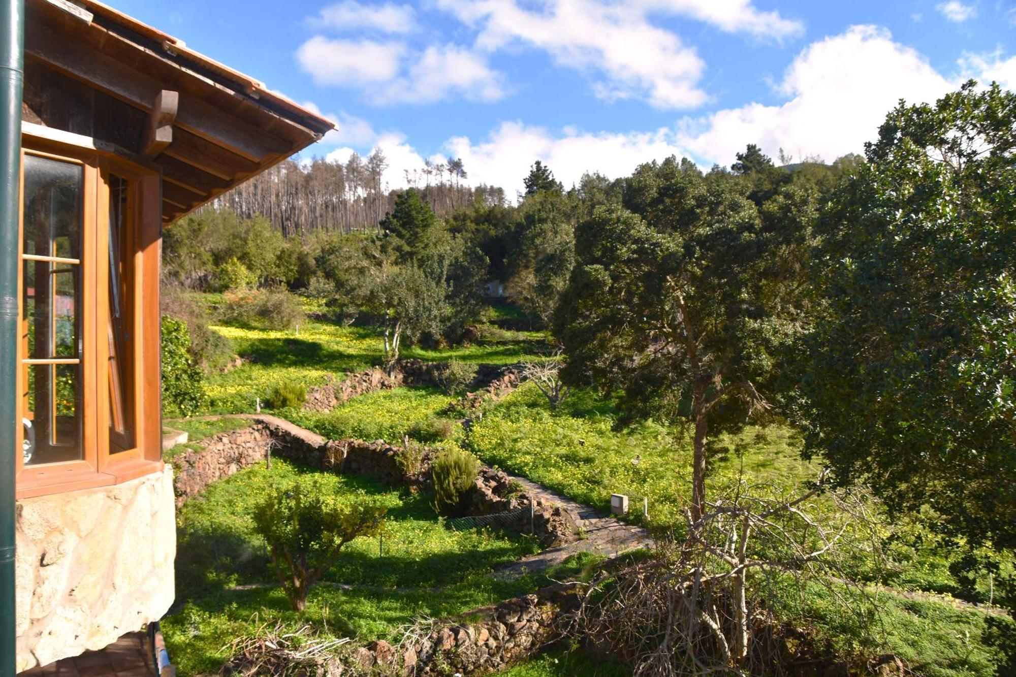 Casa Rural La Gustoza Sauzal Exterior photo